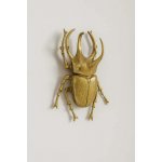Nástěnná dekorace KARE Design Atlas Beetle Gold – Hledejceny.cz