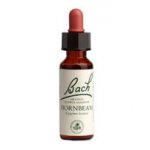 Bachovy květové esence Habr obecný Hornbeam 20 ml – Hledejceny.cz