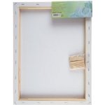 Nevskaya Palitra malířské plátno 30x40 cm – Zboží Dáma