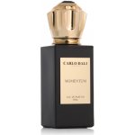 Bentley Momentum toaletní voda pánská 100 ml – Hledejceny.cz