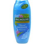 PALMOLIVE Thermal Spa Mineral Massage dámský sprchový gel s aloe a minerální solí 250 ml – Hledejceny.cz