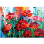 MyCreativ diamantové malování vlčí máky 30 x 40cm – Hledejceny.cz