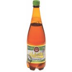 Hubertus Kácov 12° 1 l (pet) – Sleviste.cz