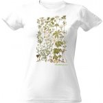Tričko s potiskem Bylinky Bílá – Hledejceny.cz