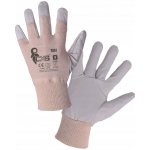 CXS TALE – HobbyKompas.cz