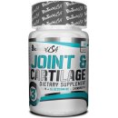 BioTech USA Joint & Cartilage 60 tablet