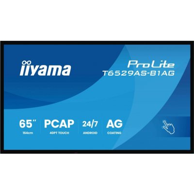 iiyama ProLite T6529AS-B1AG – Zboží Živě