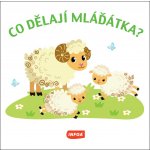 Co dělají mláďátka? – Hledejceny.cz