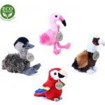 Eco- Friendly Pták exotický 4 druhy 15 cm – Zbozi.Blesk.cz