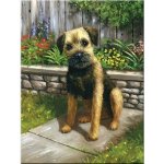 Malování podle čísel Štěně černý čumáček – Zboží Dáma