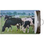 ESSCHERT DESIGN Podložka pod litinovou rohožku BEST FOR BOOTS krávy barvy 76x46 cm – Zbozi.Blesk.cz