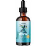 BrainMax Vegan Omega Kids, omega-3 pro děti, 90 ml – Hledejceny.cz