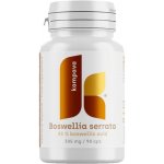 Kompava Boswellia serrata 305mg 90 kapslí – Hledejceny.cz