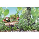 Hailea pozadí Grassy S 41 cm x 1 m – Zboží Dáma