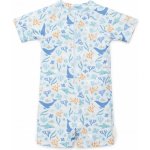 Little dutch Plavky krátký rukáv Ocean Dreams Blue – Hledejceny.cz