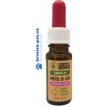 Dokonalá Láska 04 Péče o uši v intenzivním režimu 10 ml – Zboží Mobilmania