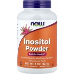 Now Foods Foods Inositol Powder Vegetarian 226 g – Hledejceny.cz