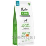 Brit Care Grain Free Adult Large Breed Salmon 2 x 12 kg – Hledejceny.cz