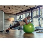 Gymnic Classic Plus 75 cm – Zboží Dáma