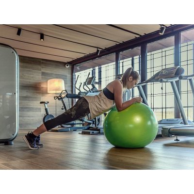 Gymnic Classic Plus 75 cm – Zboží Dáma