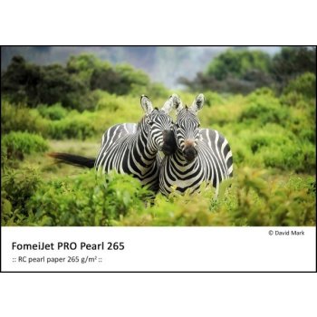 FOMEI FomeiJet PRO Pearl, 10x15, 250 listů, 265 g/m2