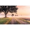 Tapety Komar Vliesová fototapeta Misty Morning rozměry 400 x 250 cm