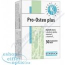 Pro Osteo plus tablet 30