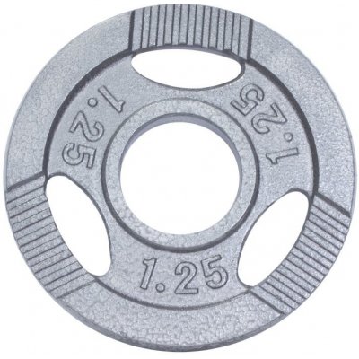 Gorilla Sports litina 1,25 kg 150 mm – Hledejceny.cz