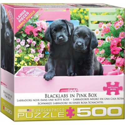 EuroGraphics XXL Black Labs in Pink Box 500 dílků – Zboží Mobilmania