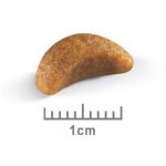 Royal Canin British Shorthair Kitten 2 x 10 kg – Hledejceny.cz
