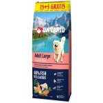 Ontario Adult Large 7 Fish & Rice 12 kg – Hledejceny.cz