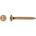 Uni vrut se zápustnou hlavou TX25 plný závit žlutě pozink. 5x25 mm, 200 ks – Hledejceny.cz