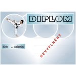 VIZINGR Karate diplom A4 č.3 Karate č.3 BEZ TEXTU – Hledejceny.cz