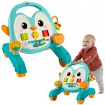 Fisher-Price hudební chodítko a pchátko tučňák 2 v 1 – Hledejceny.cz