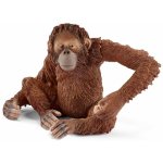 Schleich 14775 Orangutan – Sleviste.cz
