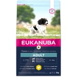 Eukanuba Adult Medium Breed 3 kg – Hledejceny.cz