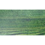 Remmers HK Lasur 2,5 l jedlová zeleň – Zbozi.Blesk.cz