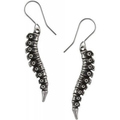 Alchemy Gothic Náušnice Páteř E497 – Hledejceny.cz