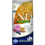 N&D Ancestral Grain Dog Adult Medium & Maxi Lamb & Blueberry 12 kg – Sleviste.cz