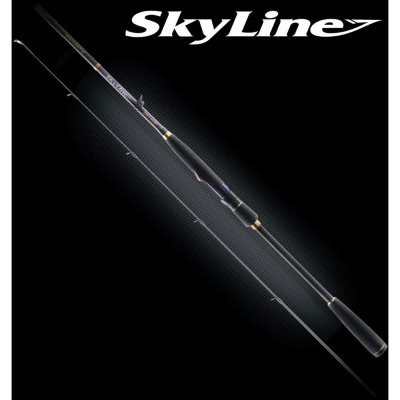 Favorite Skyline NEW SKYA-842MH 2,54 m 10-35 g 2 díly