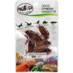 ProBugs Eco-Fresh Šváb argentinský 5 ks – Zboží Dáma