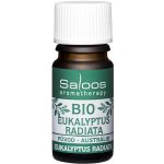 Saloos Esenciální olej Eukalyptus Radiata BIO 5 ml – Zboží Mobilmania