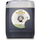 Biobizz RootJuice 10l