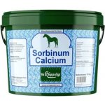St.Hippolyt Sorbinum Calcium 10 kg – Hledejceny.cz