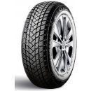 GT Radial WinterPro 2 205/55 R16 91H