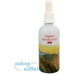 Energy Organic Sacha Inchi oil 100 ml – Hledejceny.cz