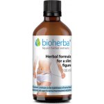 BIOHERBA Tinktura 17 bylin na hubnutí a detoxikaci 100 ml – Hledejceny.cz