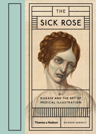 The Sick Rose: Disease and the Art of Medical... - Richard Barnett