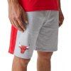 Pánské kraťasy a šortky New Era NBA Side Panel short Chicago Bulls