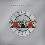 Guns N' Roses - Greatest Hits LP – Hledejceny.cz